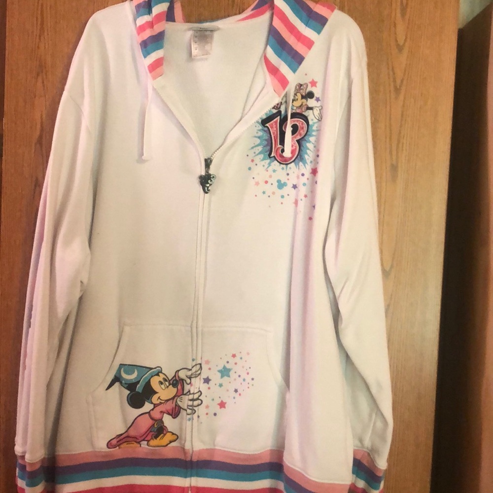 Disney 2013 hoodie